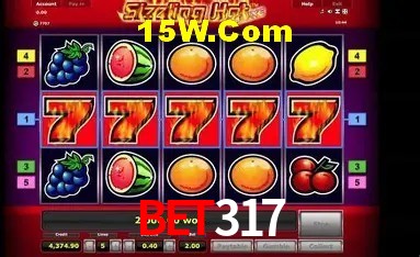 Experiência VIP Bet317